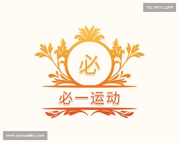 介绍必一运动